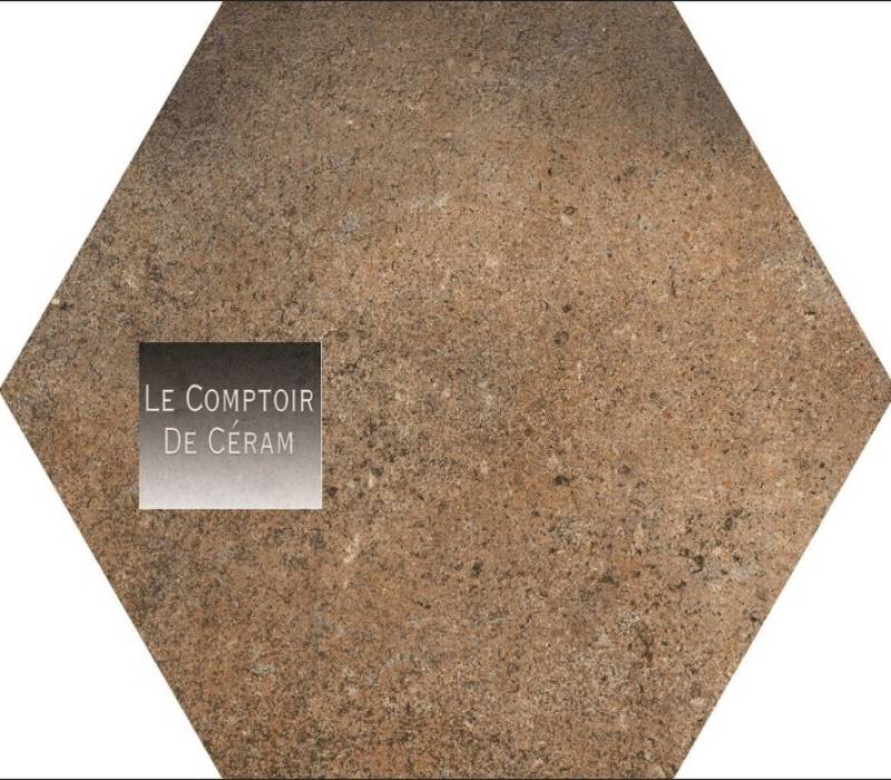carrelage hexagonal métal sol et mur 2025 Versailles 78