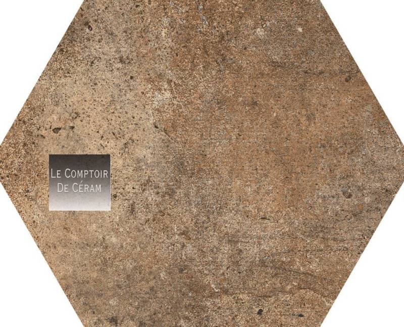 carrelage hexagonal sol et mur aspect métal Nîmes 30